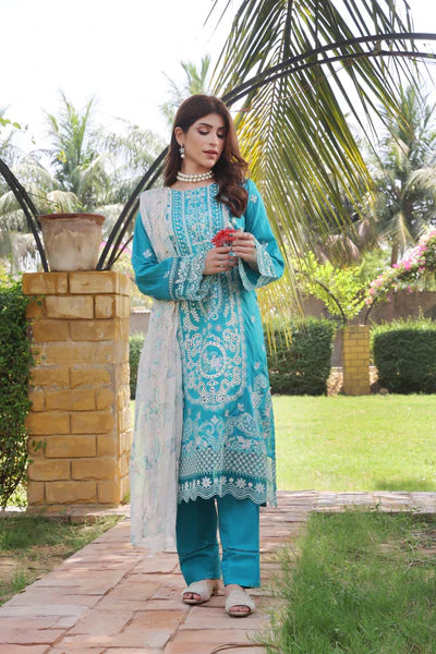 Bana Dora Embroidered Lawn 3PC