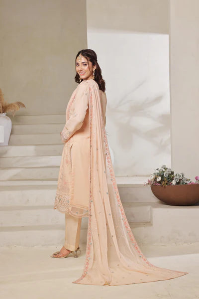 Chiffone Embroidered 3PC
