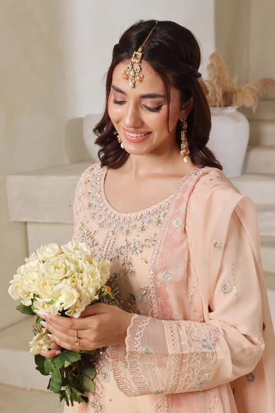 Chiffone Embroidered 3PC