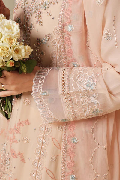 Chiffone Embroidered 3PC