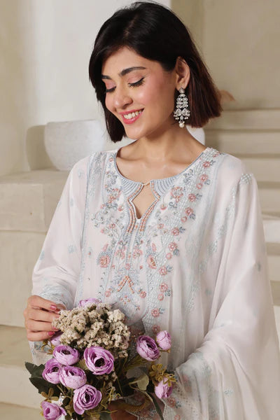 Chiffone Embroidered 3PC