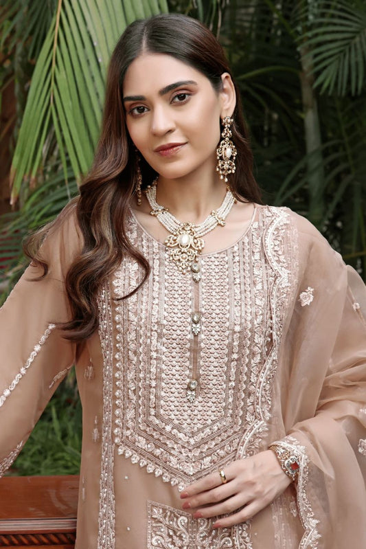 DL Mayal Organza-3PC