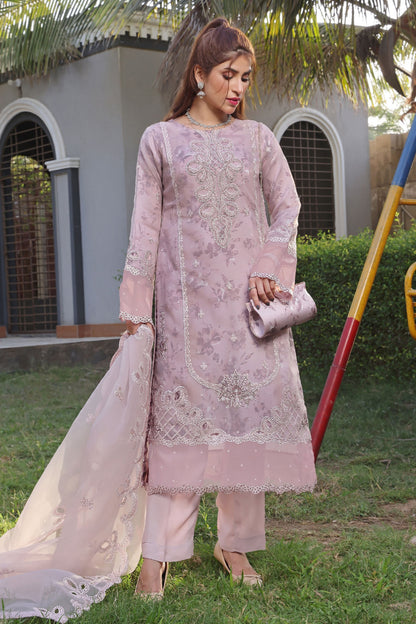 Organza Embroidered 3PC