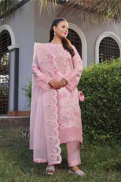 Organza Embroidered 3PC