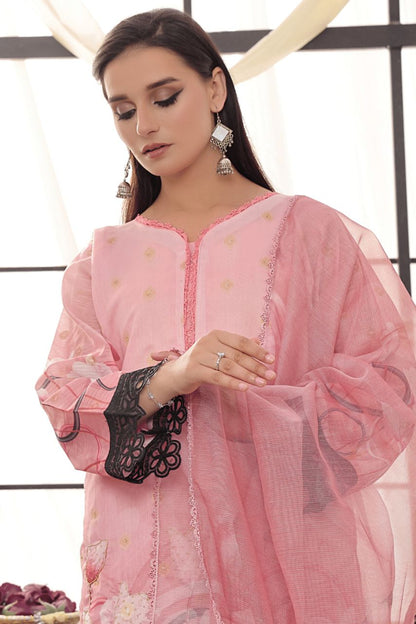 DL Monar Jhalak-3PC