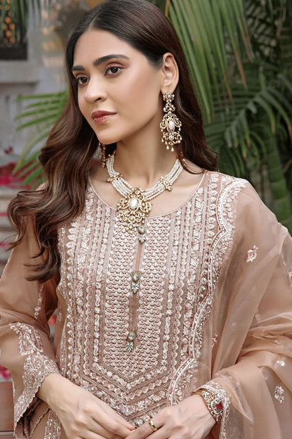 DL Mayal Organza-3PC