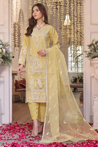 DL Mayal Organza-3PC