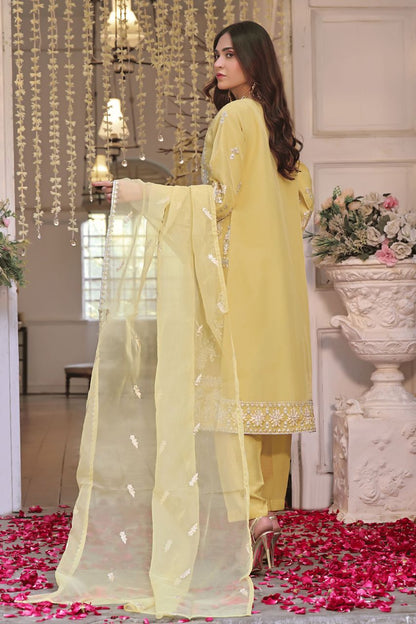 DL Mayal Organza-3PC