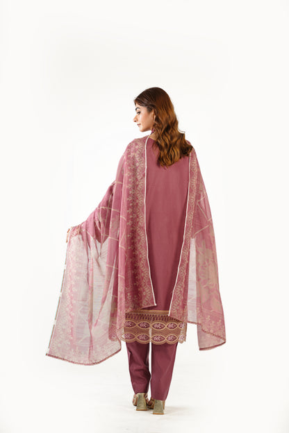 Anaya Noor Fancy Jacquard Cotton Emb-3PC