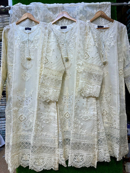 Areej Luxury Organza AA75-3PC