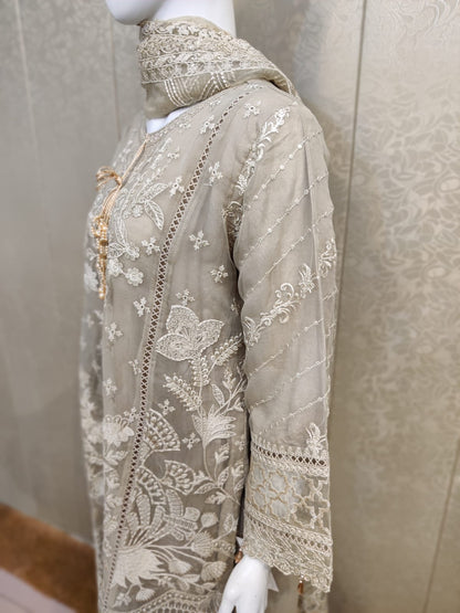 Areej Luxury Organza AA78-3PC